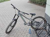 Dartmoor hornet pro