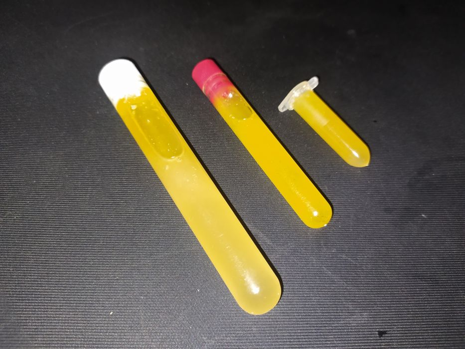 Miód wielokwiatowy dla mrówek