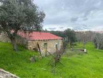 Quintinha T1 / Fundão, Atalaia do Campo