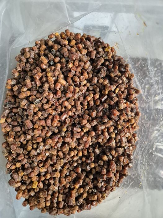 Pierzga Pszczela 1 kg