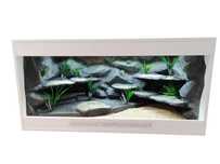 Terrarium pustynne nr750 120/60/60 dla agamy brodatej DOSTĘPNE