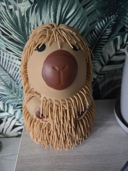 Kapibara gumowa kudłata