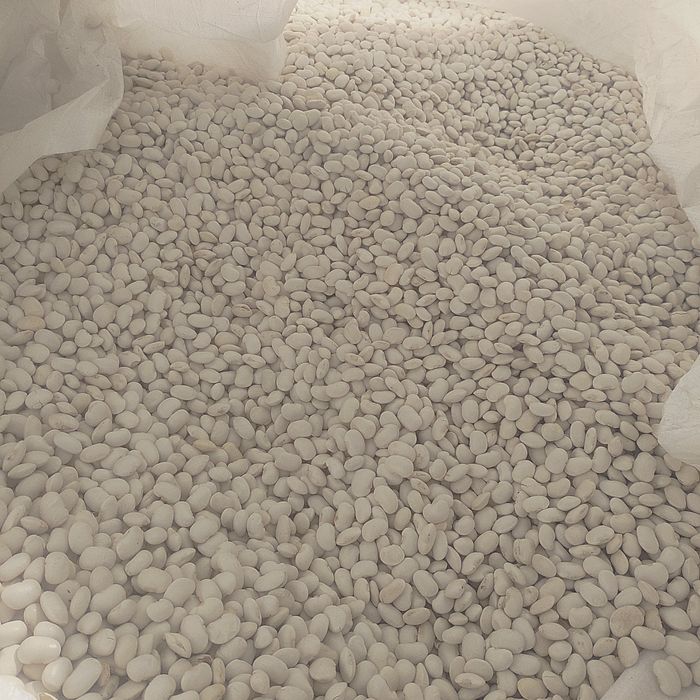 Fasola Jaś Karłowy 10kg