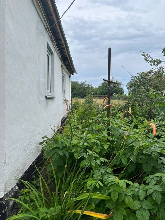 Продам будинок с.Дрозди(15 км від Білої Церкви)