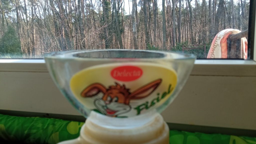 Miseczki szklane logo Fisiel Delecta