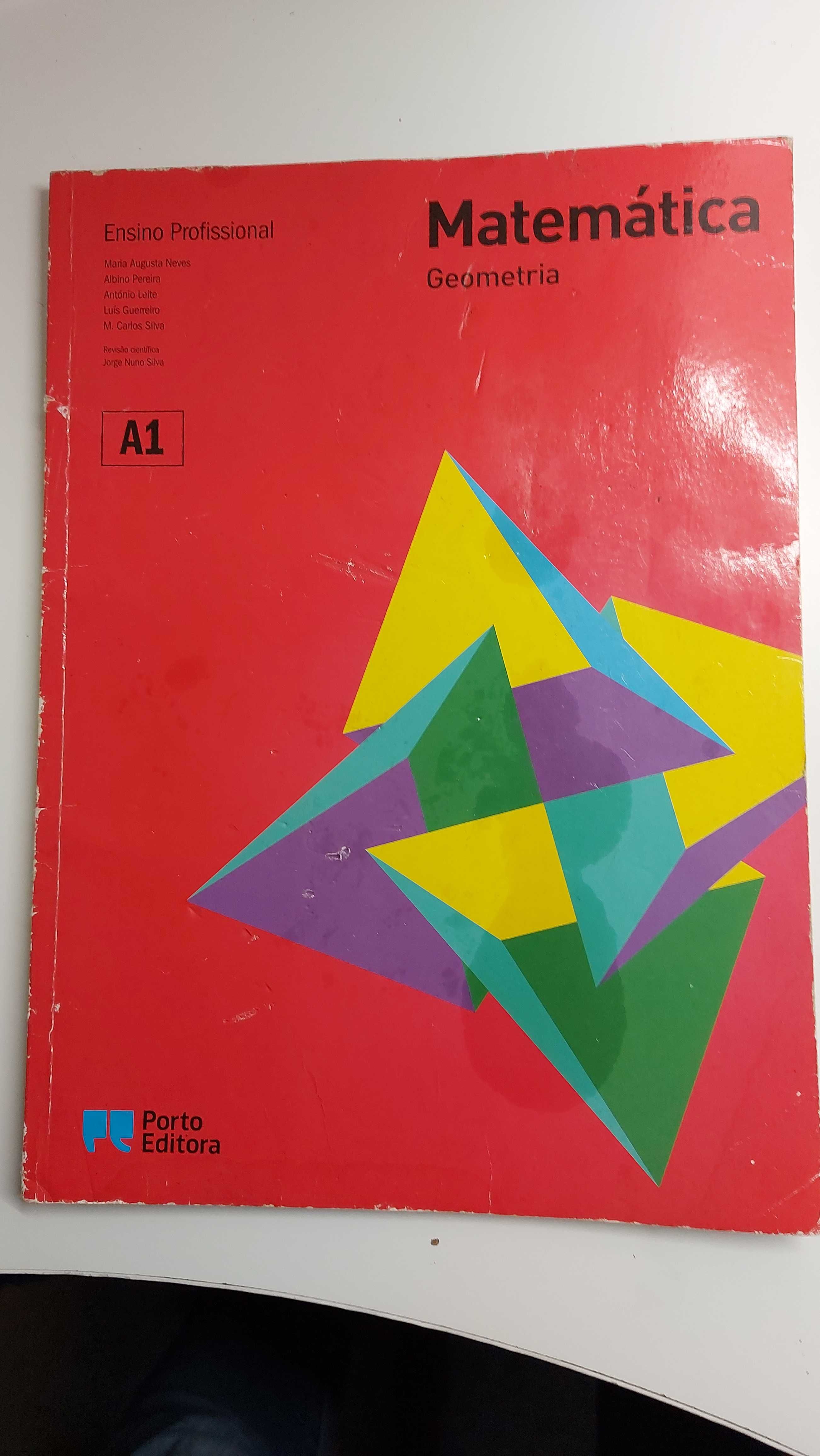 Livro geometria ensino profissional