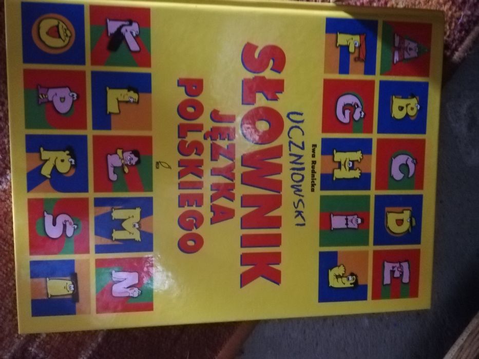 Słownik język polski. Tanio