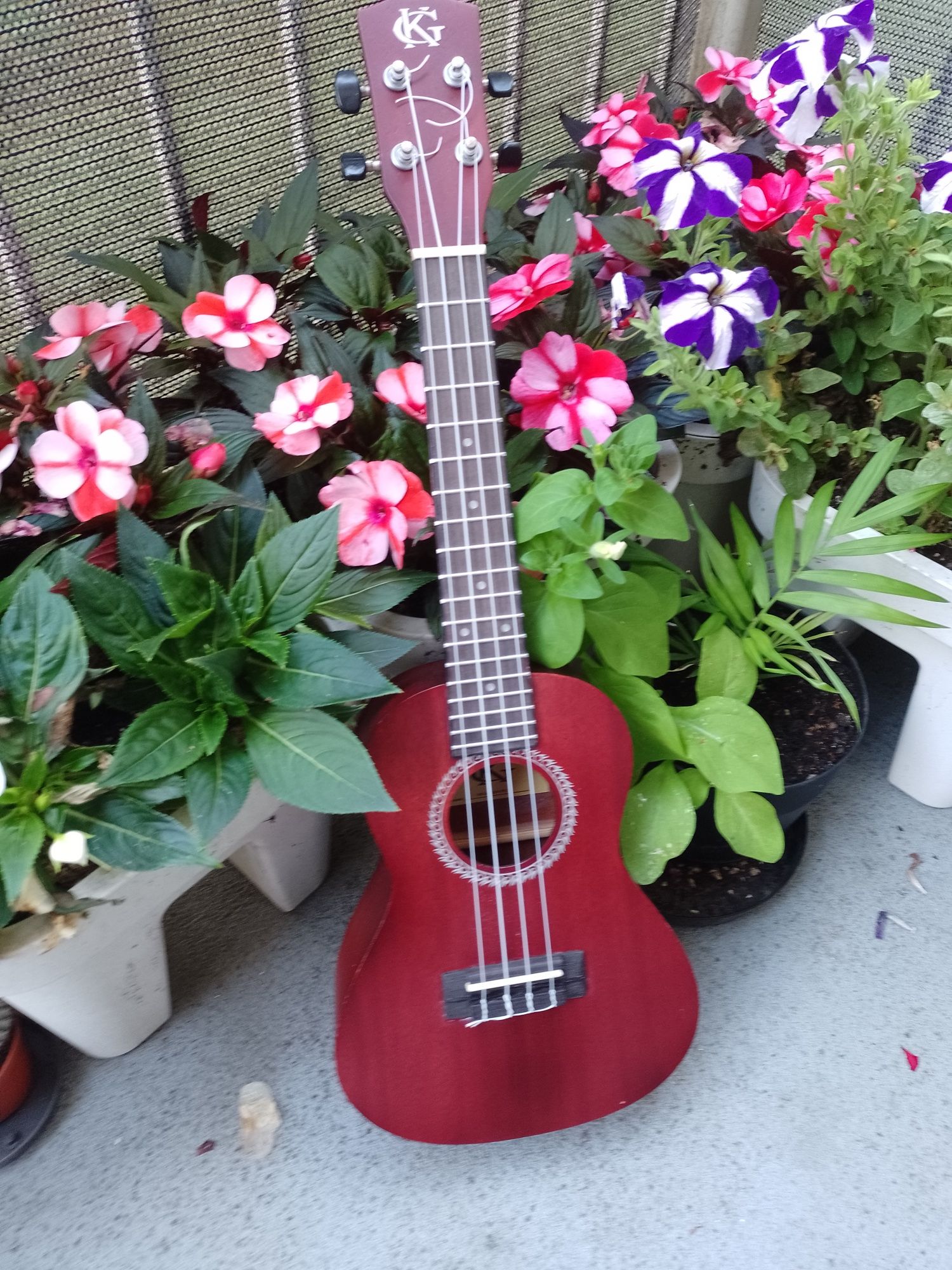 Sprzedam ukulele + etui