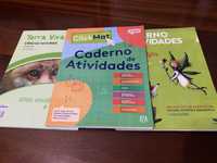 livros de fichas 5.º ano