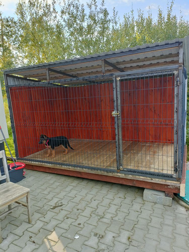 Kojec dla psa z budą 3.10x2