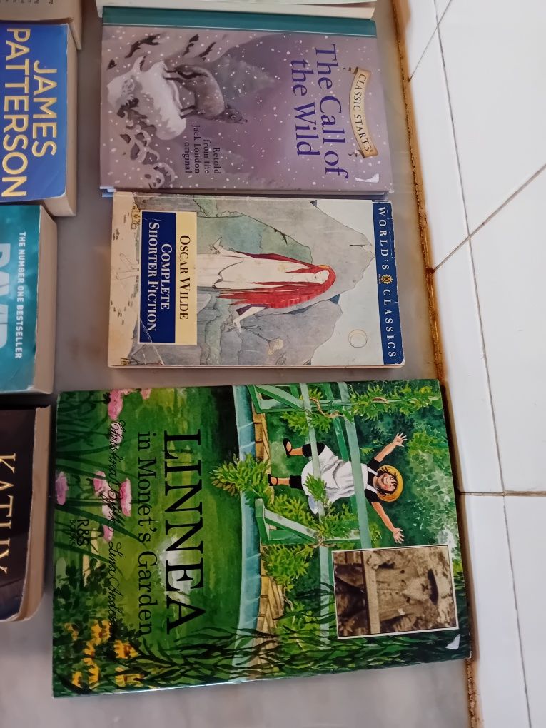 Conjunto de 12 Livros Diversos Língua Inglesa