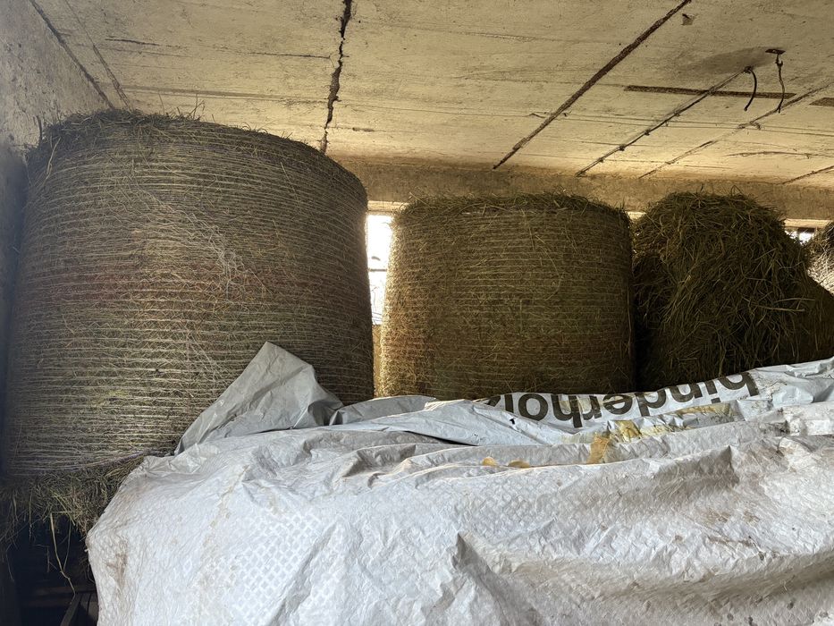 Sprzedam duze belki siana 130x130