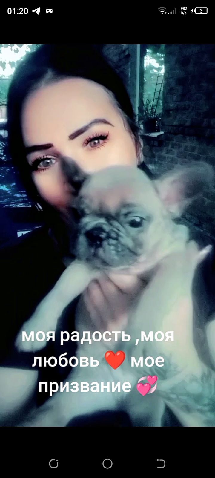 Круасанчик  французский