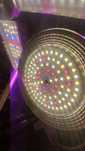 Grow light, 3000k + 5000k + IR + UV
