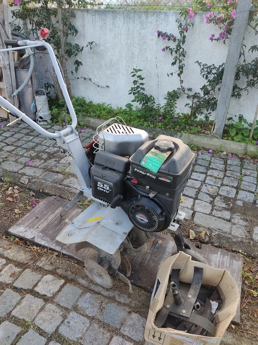 Moto enchada bestgreen 5.5cv