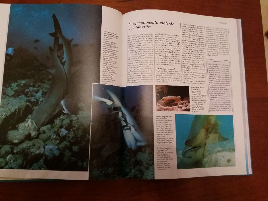 "Vida Selvagem" - 3 Volumes -Seleções