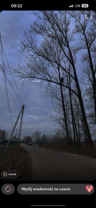 Alpinistyczna wycinka  i pielegnacja drzew/Czyszczenie dzialek