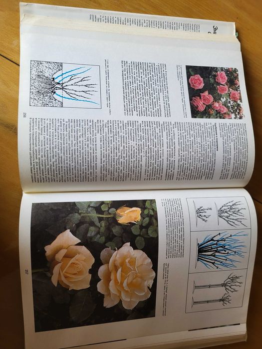 енциклопедія садовода