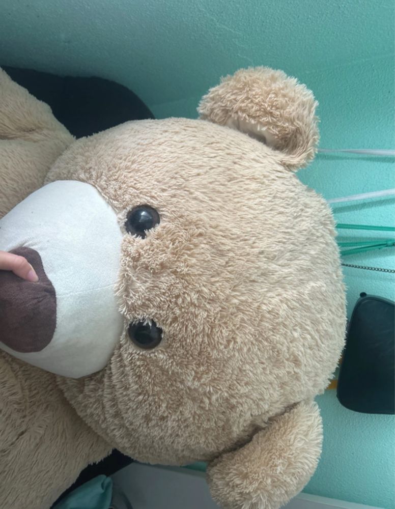 Usro de peluche