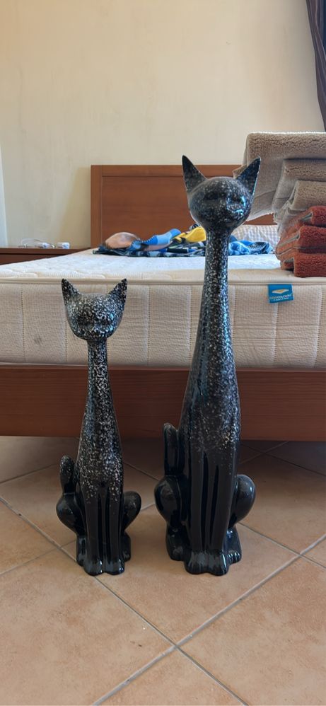 Gatos louca decoração