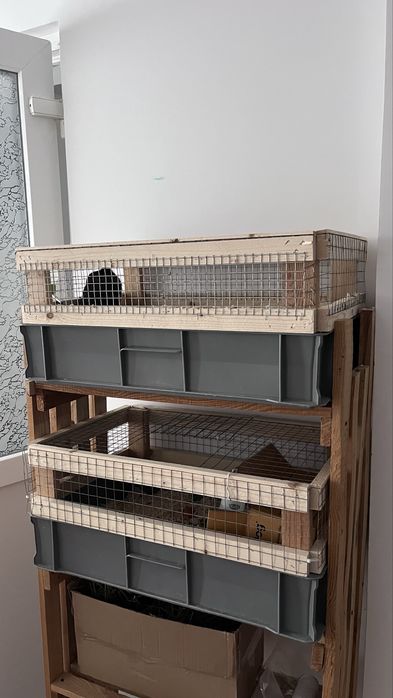 Клітка для гризунів