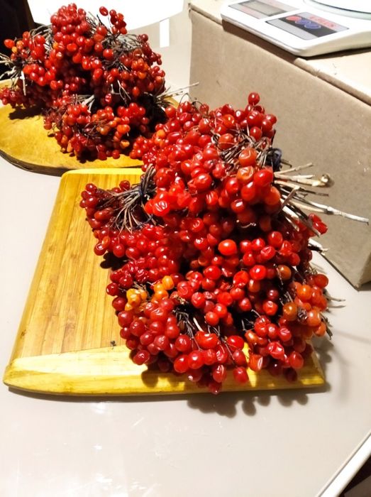 шиповник, барбарис, бояришник.Мята.  ЭКО- 25..