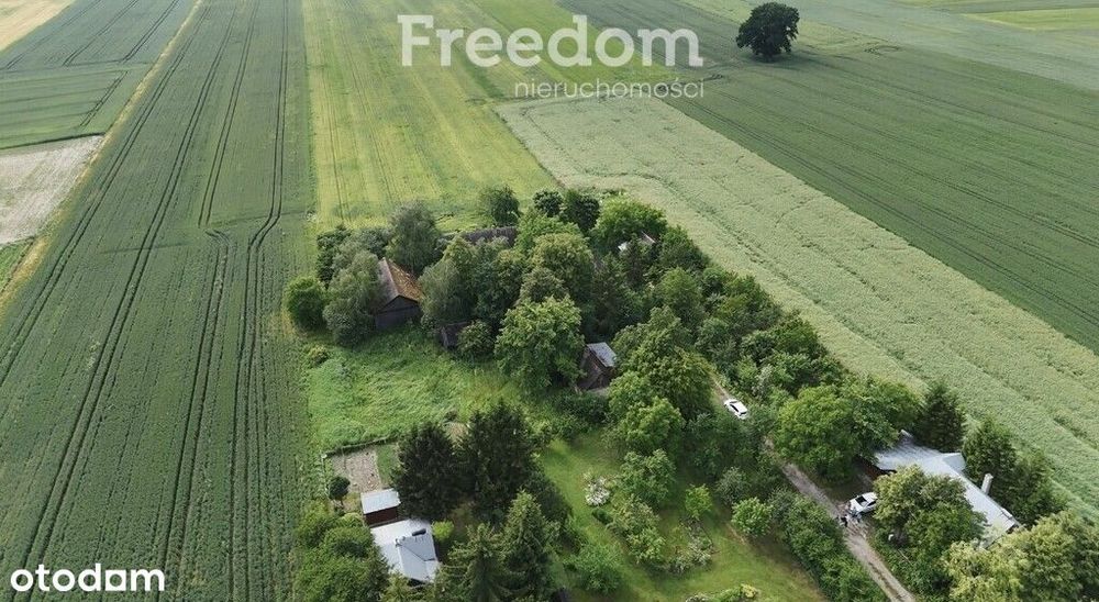 Siedlisko tuż przy lesie