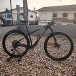 Trek Procaliber M