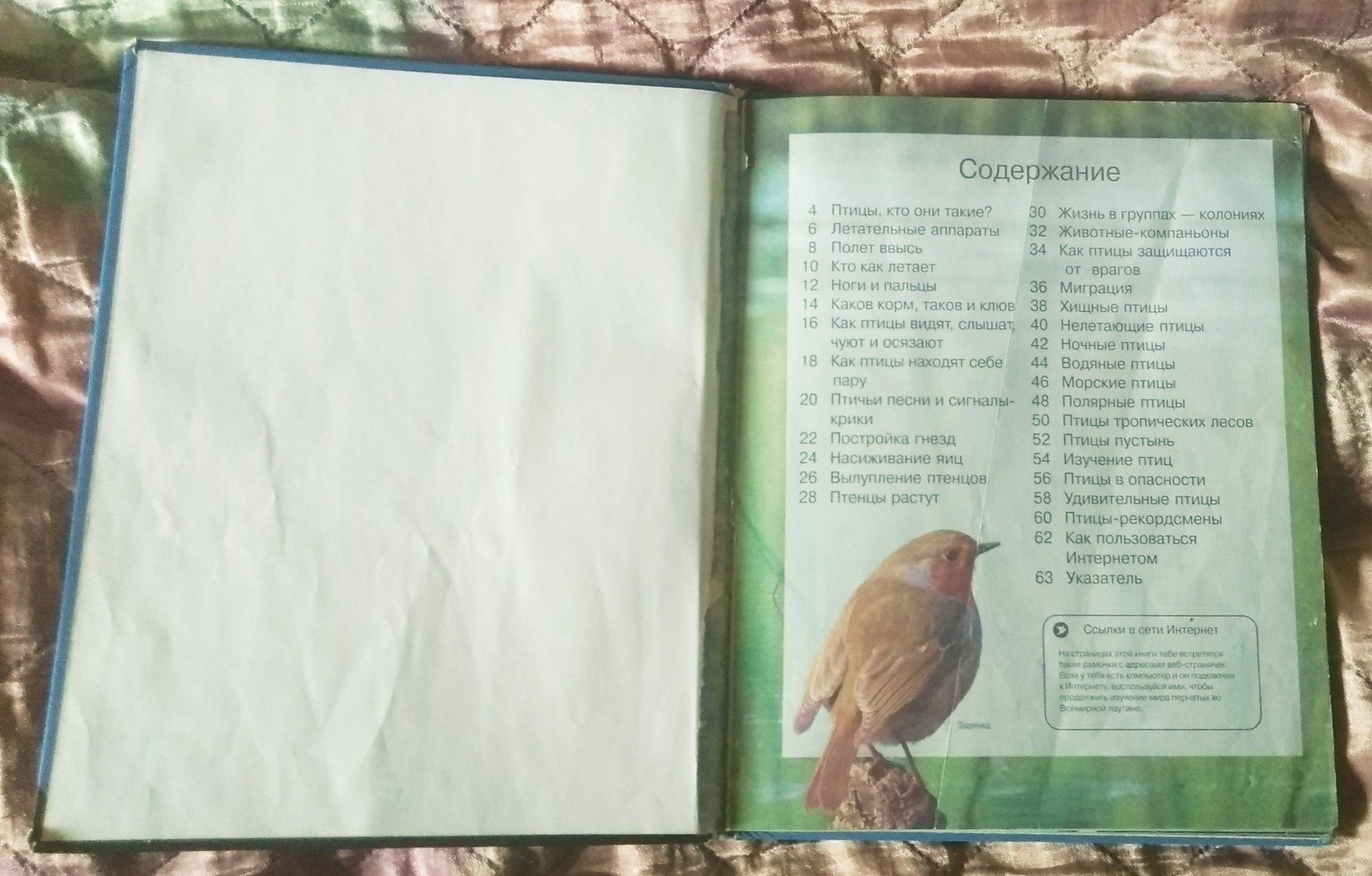 Книга про птиц издание росмен