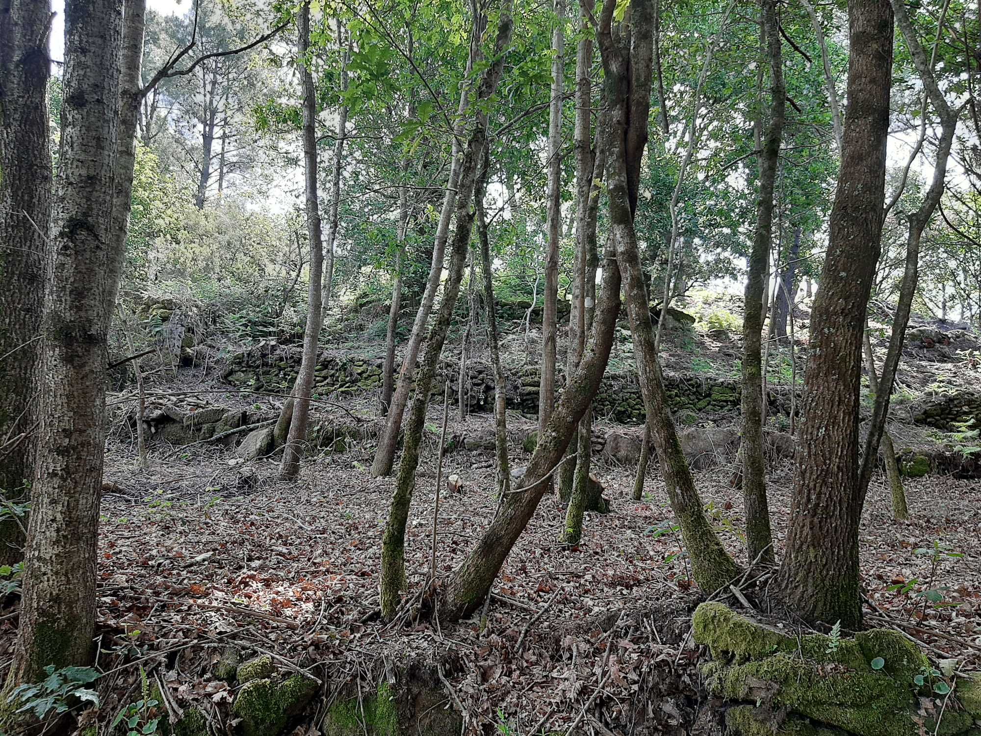 Terreno no Soajo