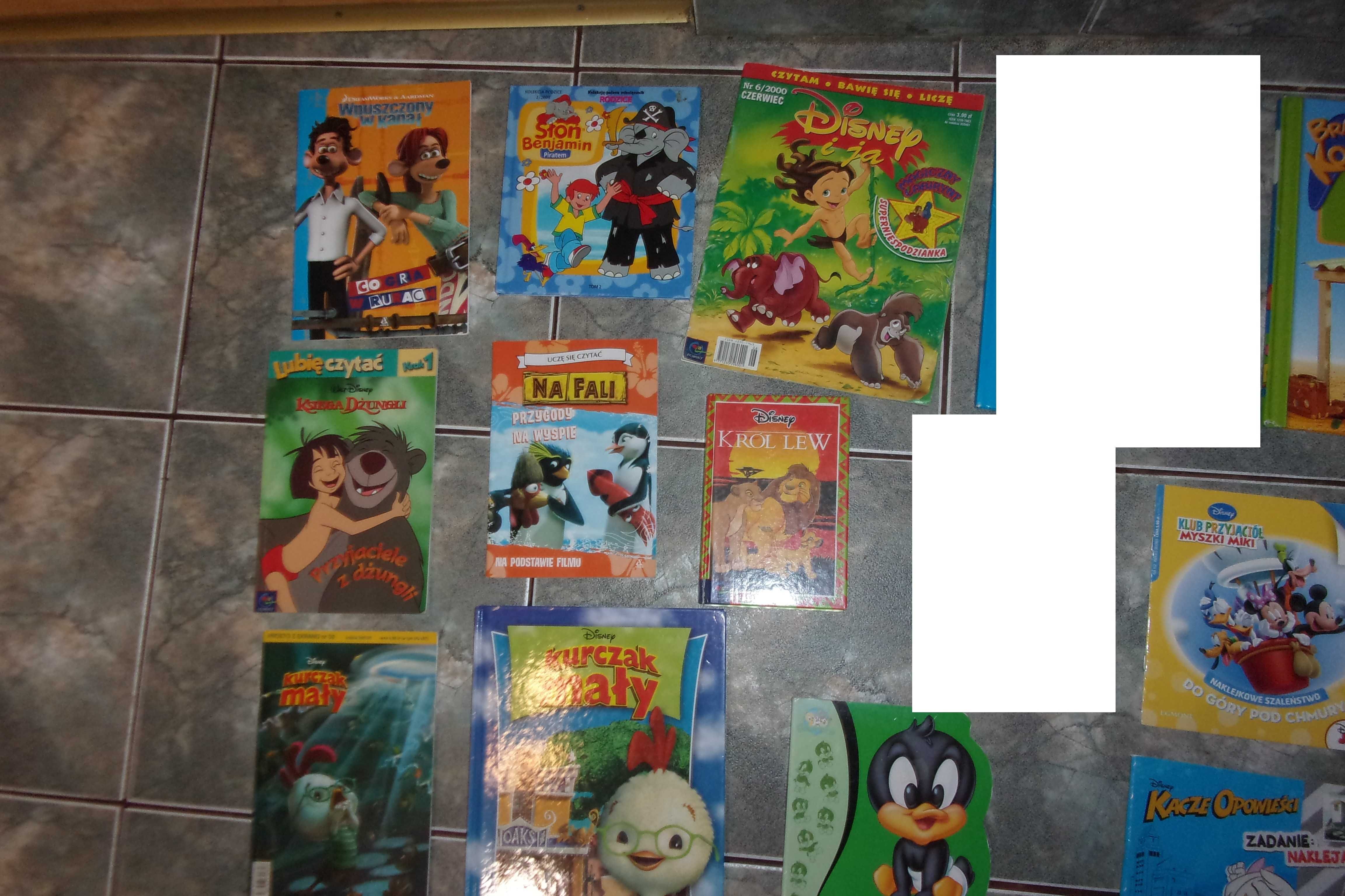 bracia koala nowy sąsiad disney Daffy kurczak mały domisie