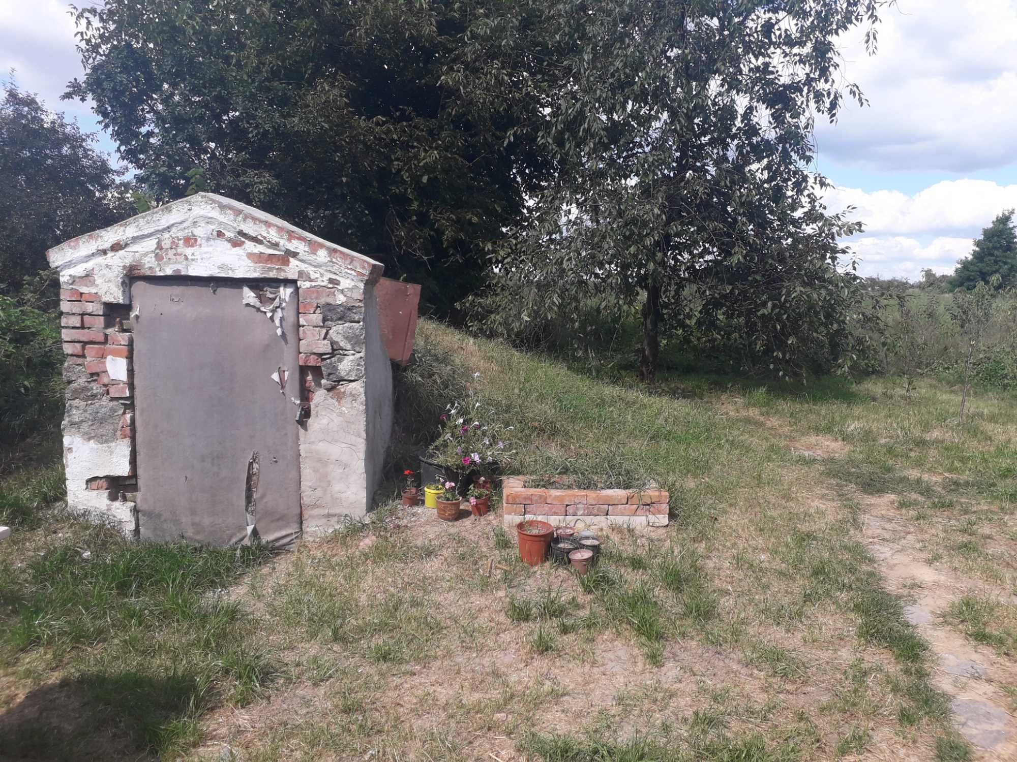 Продам будинок с.Селище (8289)