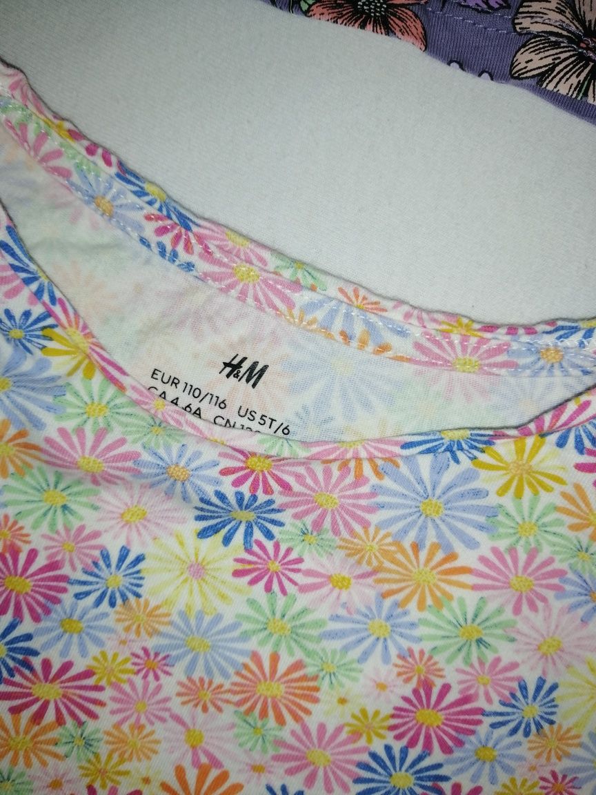 6x bluzka H&M r. 110/116 z krótkim Hello Kitty panterka koszulka Ponny