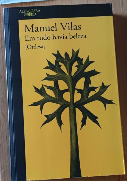 Em tudo havia beleza (Ordesa) - Manuel Vilas