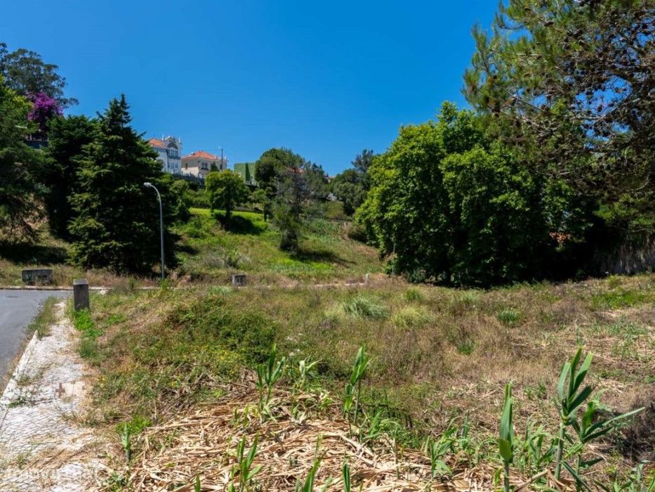 Lote de terreno com PIP aprovado em Sintra