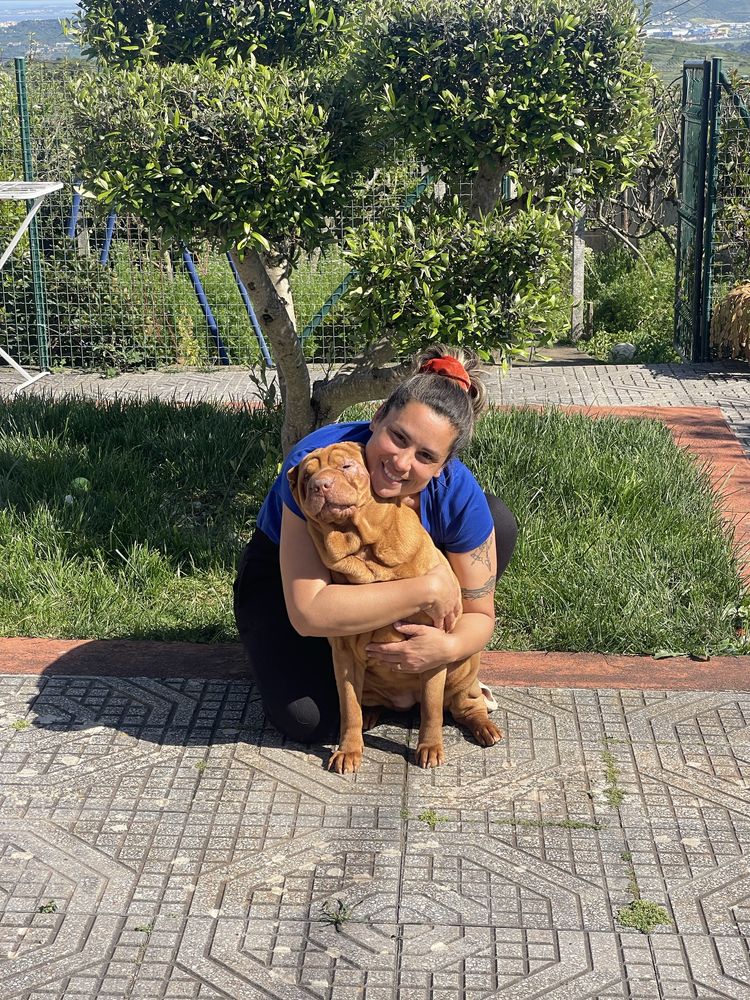 Pet Sitting em ambiente Familiar | Seu Pet com amor e liberdade