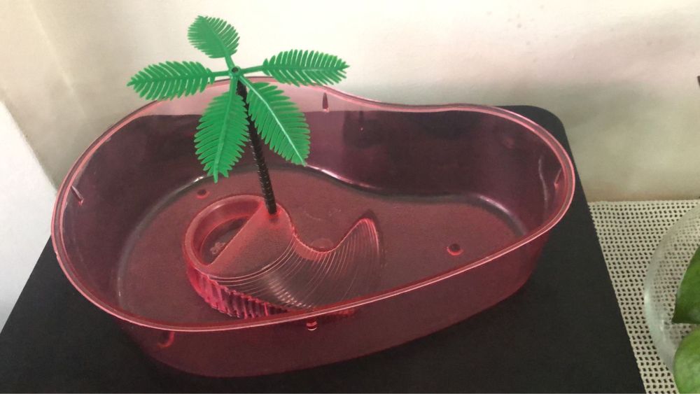 Aquario para tartaruga