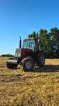 MTZ 82 TS 95 Km 1999r