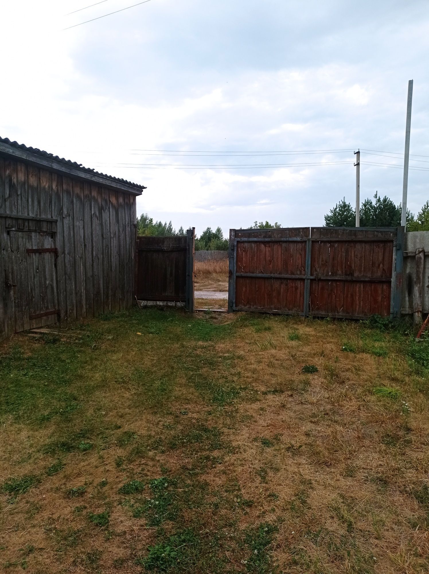 Продам будинок під лісом біля Чернігова.