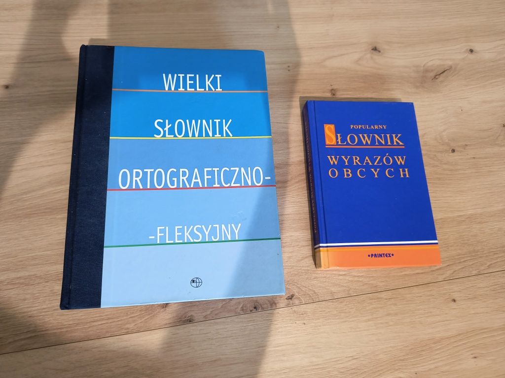 Wielki słownik ortograficzno-fleksyjny + gratis