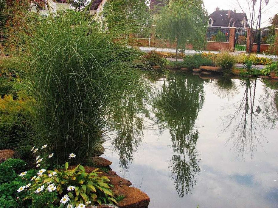 5 соток з виходом до води. КМ "Montana Village", Козин р-н Конча-Заспа
