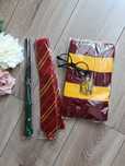 Strój karnawałowy Harry Potter Griffindor akcesoria