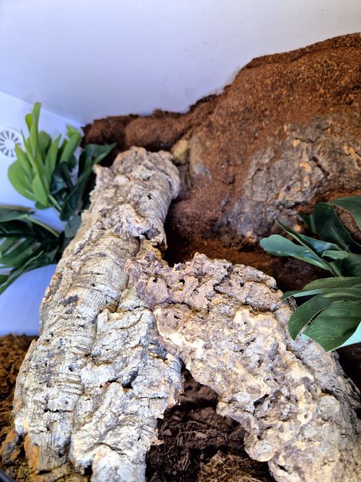 Terrarium 60x40x40 plyta biała wysyłka