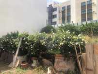 Terreno  para venda