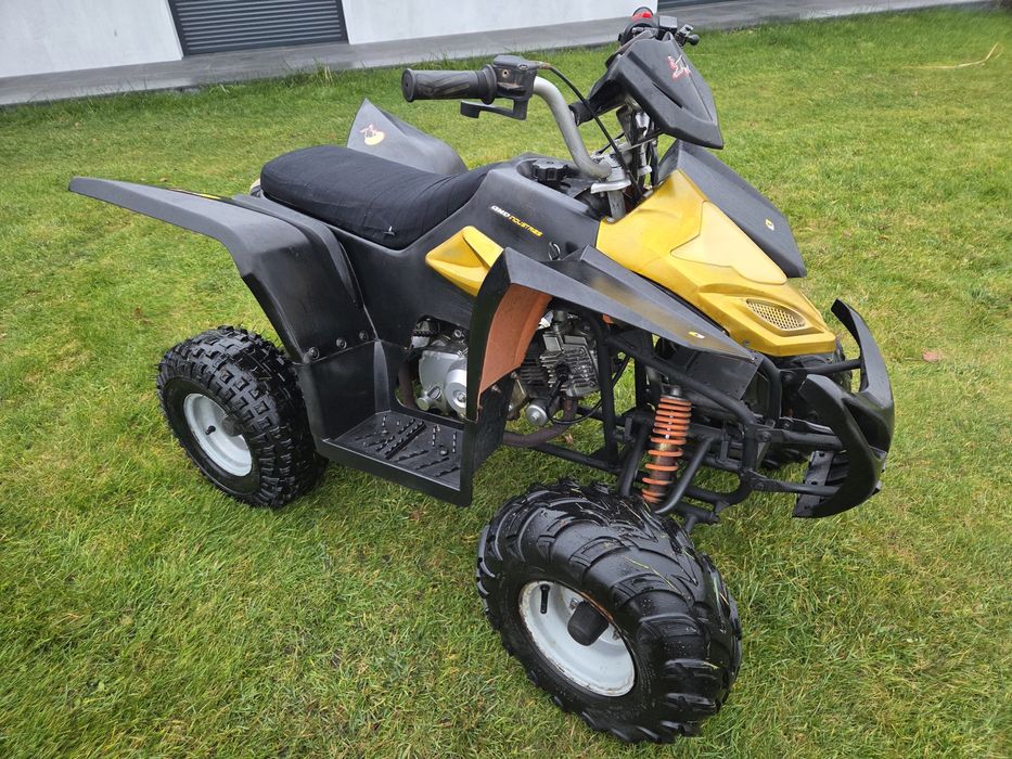 Quad 110ccm automat