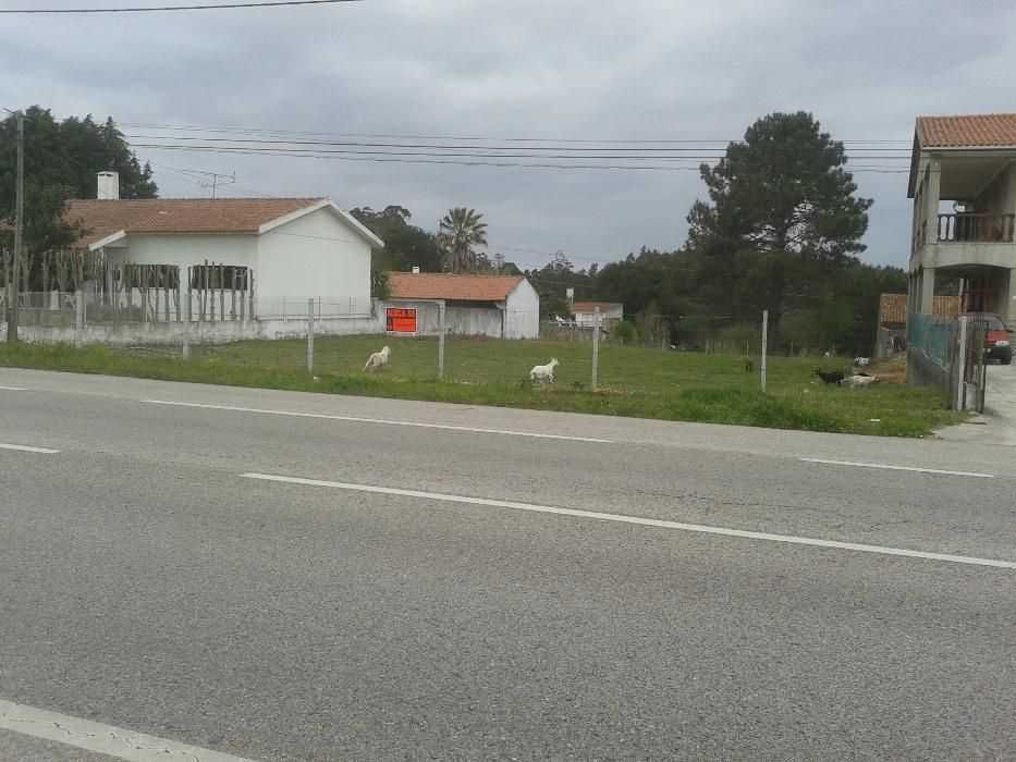 Terreno com cerca de 2000 m2 IC 2 São Jorge Porto de Mós Leiria