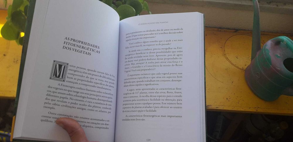 Vendo livro FITOENERGÉTICA - Bruno Gimenes - (NOVO)