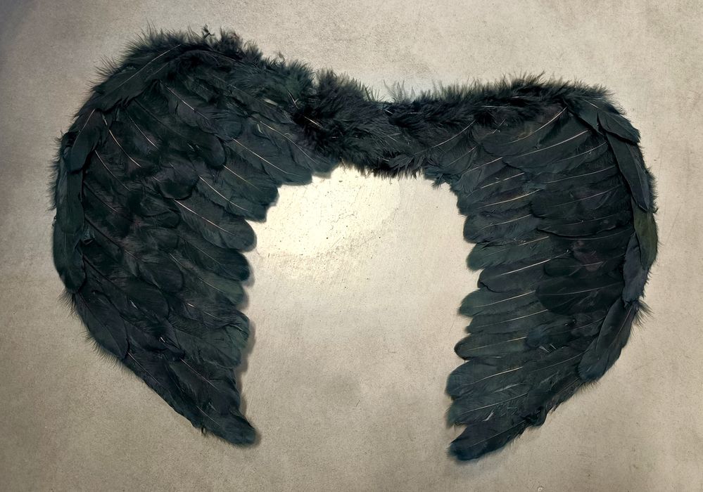 Extra duże czarne skrzydła z piór