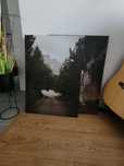Obrazy PJÄTTERYD / IKEA / 2 sztuki (KOMPLET) / 70x50 cm