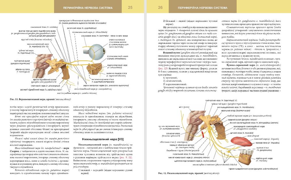 Анатомия. Нормальная. Анатомія. Нормальна. Головацький.